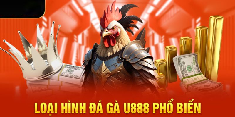 Những hình thức chọi kê đặc sắc tại U888 