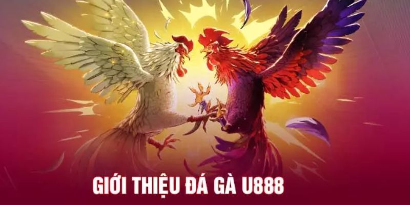 Những điểm nổi bật của sân chơi đá gà U888