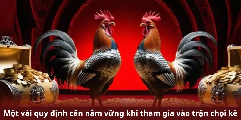 Một vài quy định cần nắm vững khi tham gia vào trận chọi kê