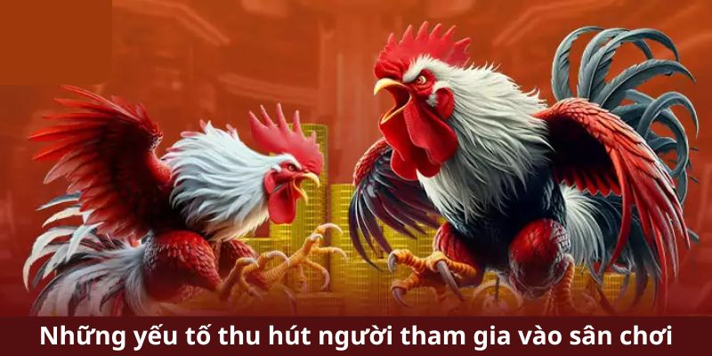 Những yếu tố thu hút người tham gia vào sân chơi