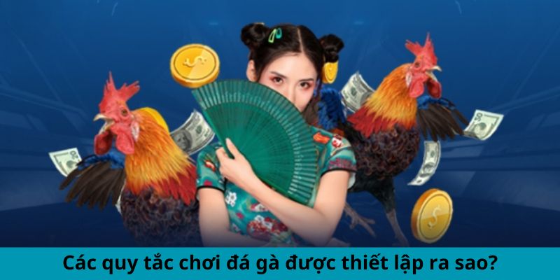 Các quy tắc chơi đá gà được thiết lập ra sao?